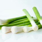 대파 보관, 대파 손질, 대파 유통기한, 대파 냉동, 대파 냉장보관