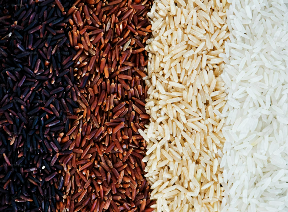 쌀 20kg 가격, 쌀 품종, 업소용 쌀, 쌀 보관법, 쌀 10kg 가격