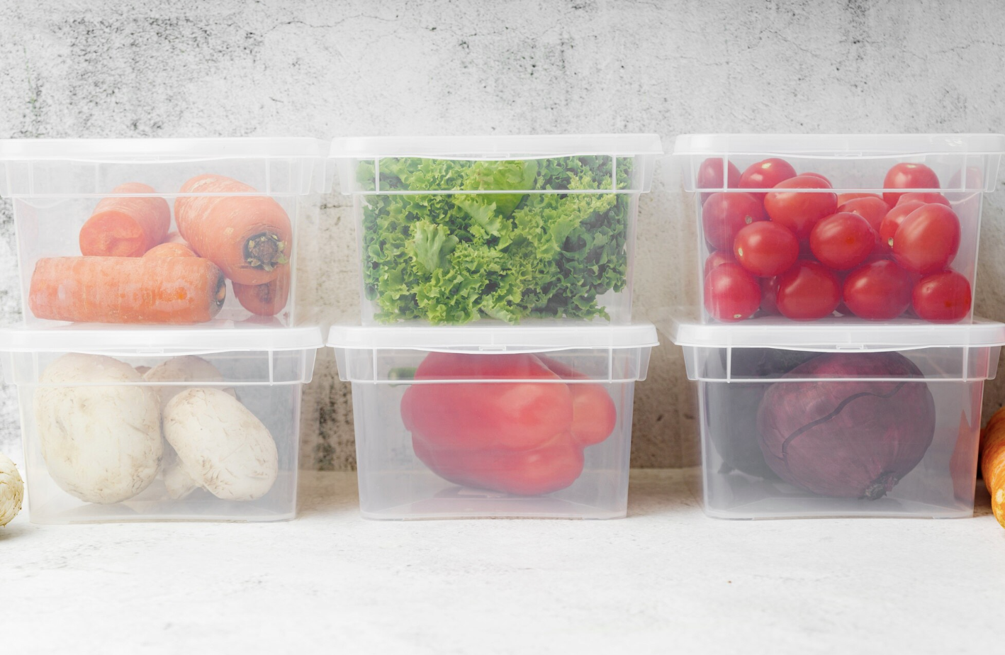 위생등급제, 식품 안심 업소, 식당 위생점검, 위생등급제 신청, 음식점 위생등급제, 위탁 급식, 주방청소