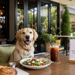 반려동물 동반 식당, 노펫존, 애견동반 식당, 펫프렌들리, 반려동물 음식점