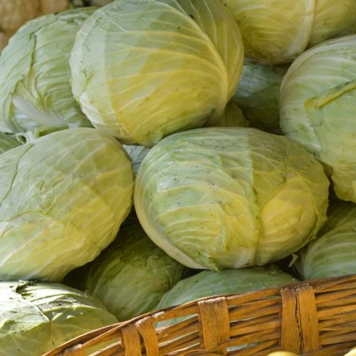 로스 줄이는 양배추 손질 방법과 갈변 방지 보관팁, 양배추 심지 활용법까지