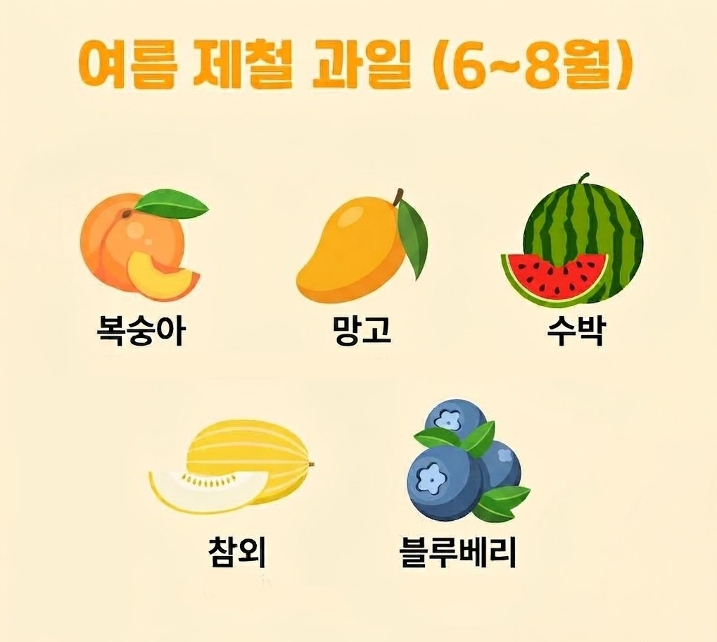 여름을 대표하는 복숭아, 망고, 수박, 참외, 블루베리 등의 과일