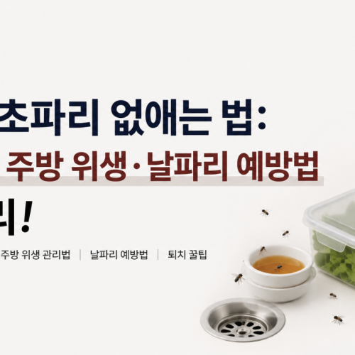 초파리 없애는 법: 여름철 주방 위생 · 식당 날파리 예방법 총정리!