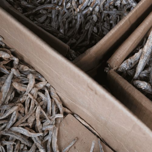 멸치 종류별 특징부터 멸치 육수 만드는 꿀팁, 원가·보관법까지 총정리
