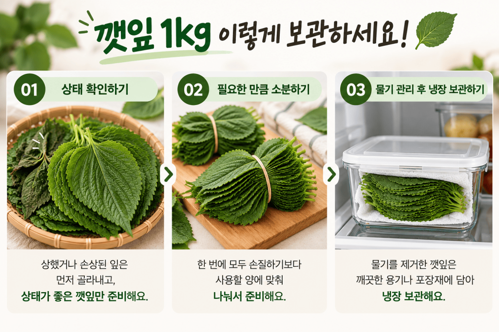 깻잎 1kg을 신선하게 오래 사용하는 대용량 깻잎 보관법