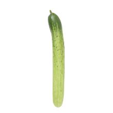 국내산 다다기오이(특)